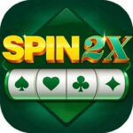 Spin 2X logo